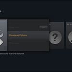 Opciones de Desarrollador