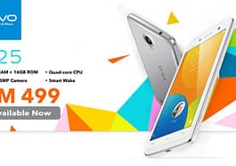 Vivo Y25 especificaciones