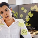 números de licencia