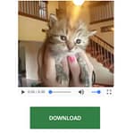 Videos Vine: Cómo descargar fácilmente sin instalar nada en Windows 1 Videos Vine
