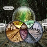 Qditor: Cómo convertirte en un Editor de Video Profesional fácilmente 3 Qditor editor de video gratis