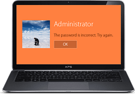Windows Password Key