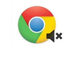 Google Chrome