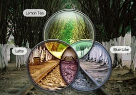 Qditor editor de video gratis