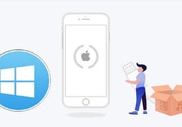 IOTransfer en Windows 10