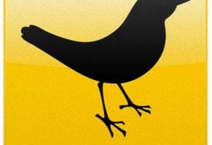 Se propone la nueva actualización de TweetDeck para Windows 4 TweetDeck