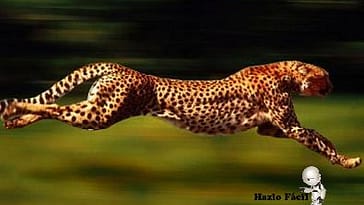 La tecnología avanzada ahora se enfoca a un animal cybernetico 9 guepardo corriendo