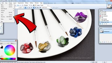 descargar gratis Paint.Net