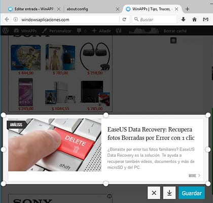 ScreenShot en Firefox