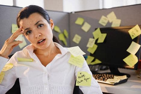 números de licencia