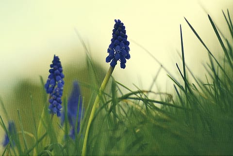 reconoacamos que la tierra está viva