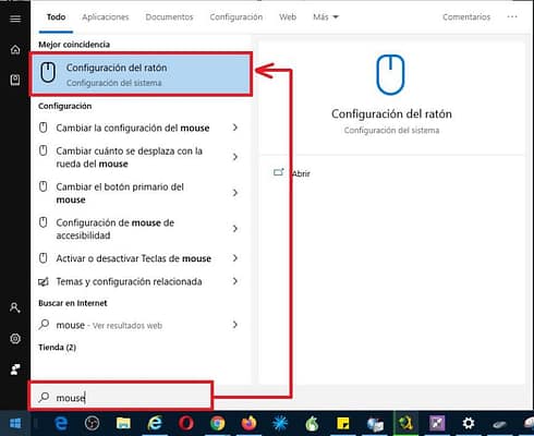 Propiedades del Ratón en Windows 10