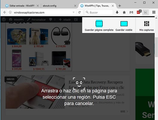 ScreenShot en Firefox 