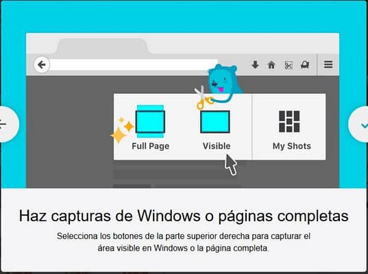 ScreenShot en Firefox