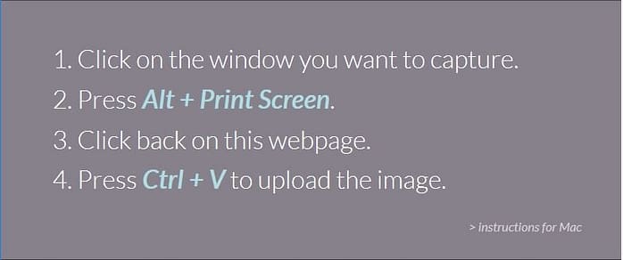 SnagGy hacer capturas de pantalla online