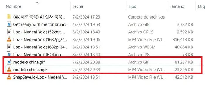convertir mp4 a gif animado_resultado