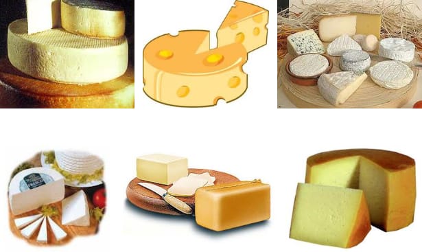 variedad de quesos consumir queso podría evitar la aparición de la diabetes tipo dos