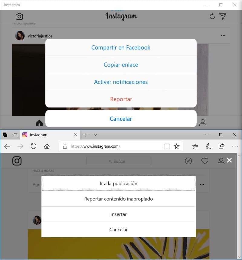 Instagram Windows 10: Aplicación Moderna vs. Web, ¿Cuál es mejor? 4 Instagram Windows 10