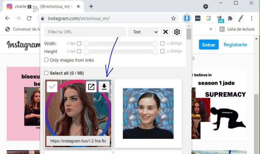 Cómo Descargar Fotos de Instagram sin Tener una cuenta de Instagram 3 como descargar fotos de instagram